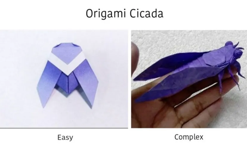 How complex an origami model could be.